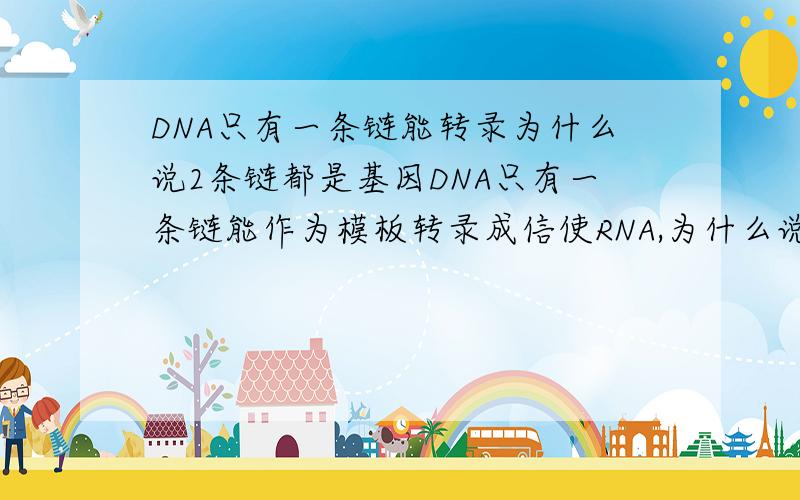 DNA只有一条链能转录为什么说2条链都是基因DNA只有一条链能作为模板转录成信使RNA,为什么说基因在DNA的两条链上,而不是单纯的说基因是有义链上的有遗传效应的片段呢.