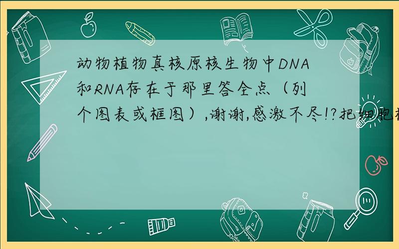动物植物真核原核生物中DNA和RNA存在于那里答全点（列个图表或框图）,谢谢,感激不尽!?把细胞核 细胞质 叶绿体 线粒体 答上去。