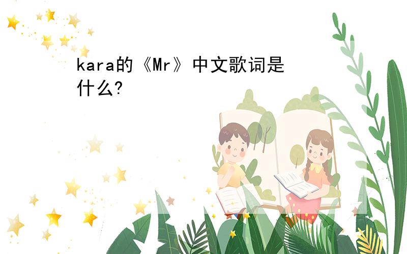 kara的《Mr》中文歌词是什么?