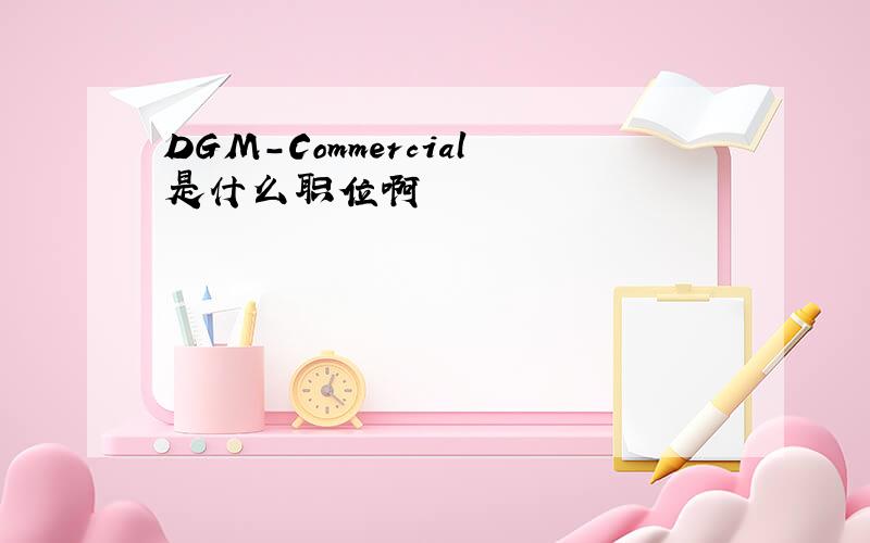 DGM-Commercial是什么职位啊