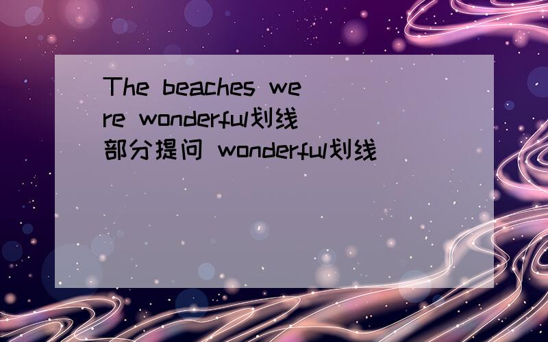 The beaches were wonderful划线部分提问 wonderful划线