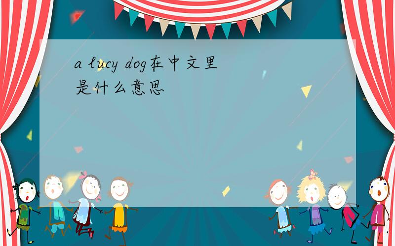 a lucy dog在中文里是什么意思