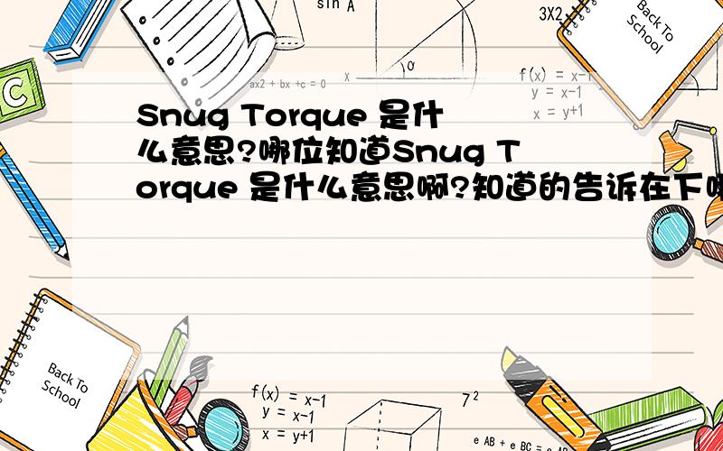 Snug Torque 是什么意思?哪位知道Snug Torque 是什么意思啊?知道的告诉在下哦!