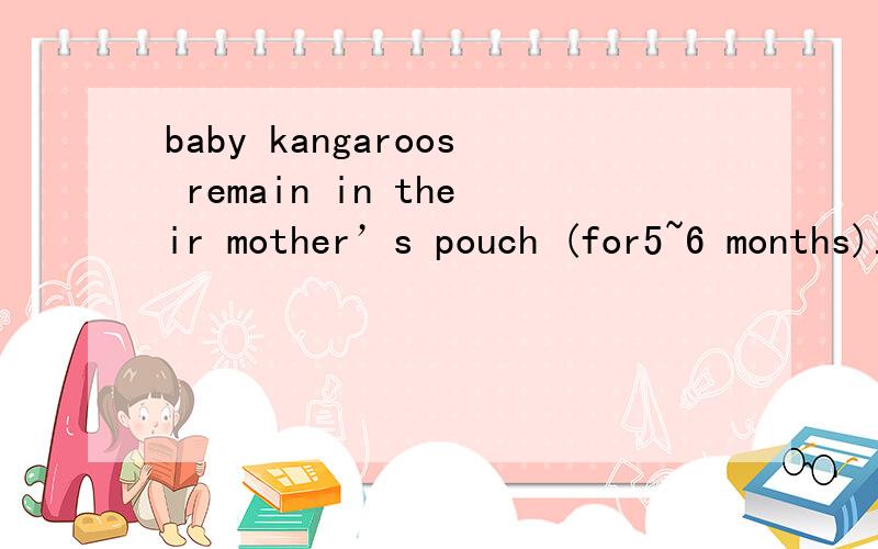 baby kangaroos remain in their mother’s pouch (for5~6 months).对画线部分提