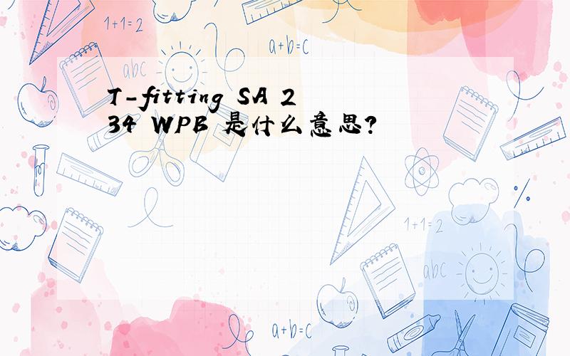 T-fitting SA 234 WPB 是什么意思?
