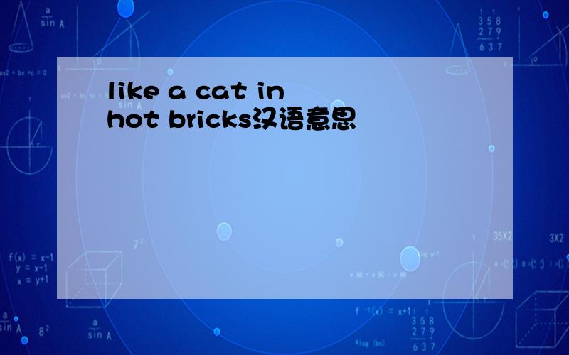 like a cat in hot bricks汉语意思