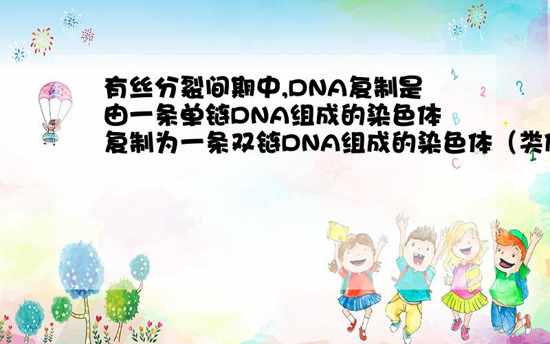 有丝分裂间期中,DNA复制是由一条单链DNA组成的染色体复制为一条双链DNA组成的染色体（类似于生物书上复制图解）,还是由一条双链DNA组成的染色体通过解旋半保留复制为两条双链DNA组成的