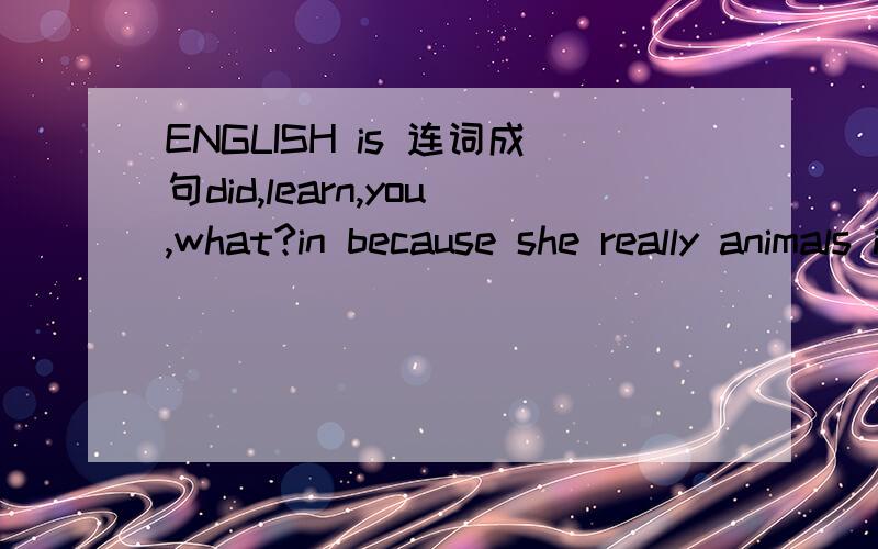 ENGLISH is 连词成句did,learn,you,what?in because she really animals interested.as has same the hobby me who?my is thacher now career.求大神