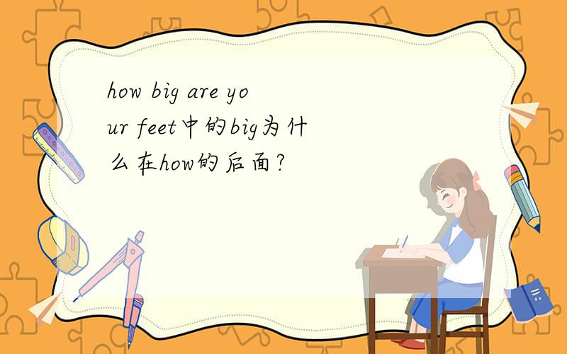how big are your feet中的big为什么在how的后面?