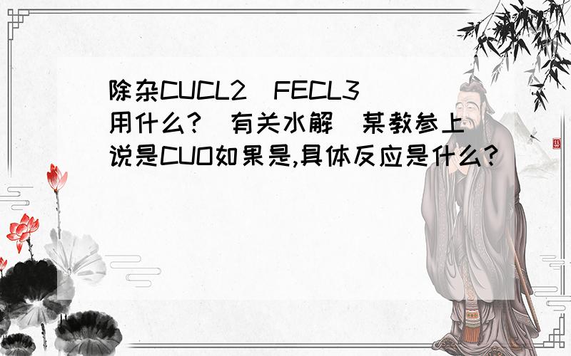 除杂CUCL2(FECL3)用什么?(有关水解)某教参上说是CUO如果是,具体反应是什么?
