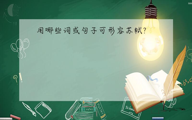 用哪些词或句子可形容苏轼?