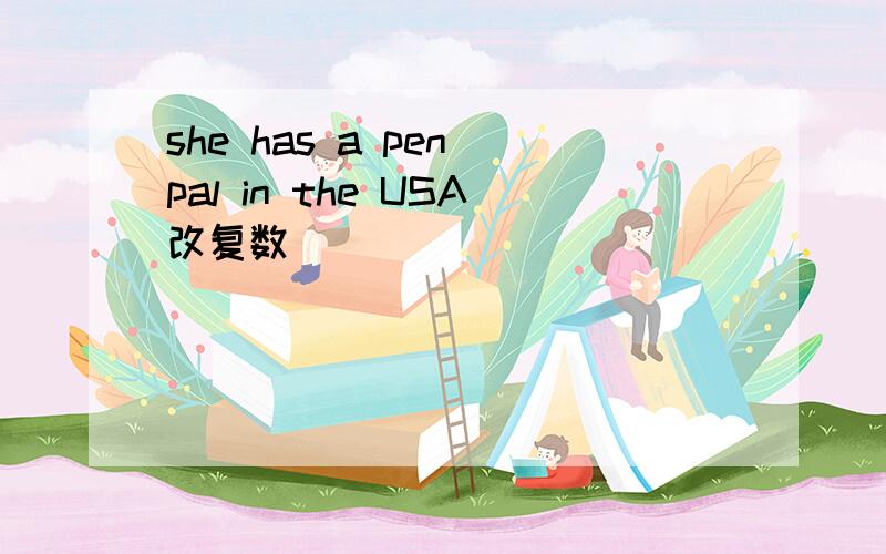 she has a pen pal in the USA改复数