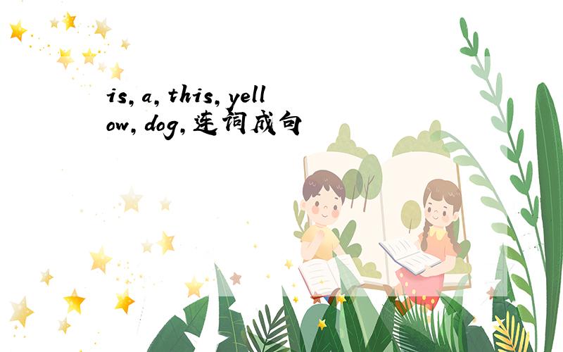 is,a,this,yellow,dog,连词成句
