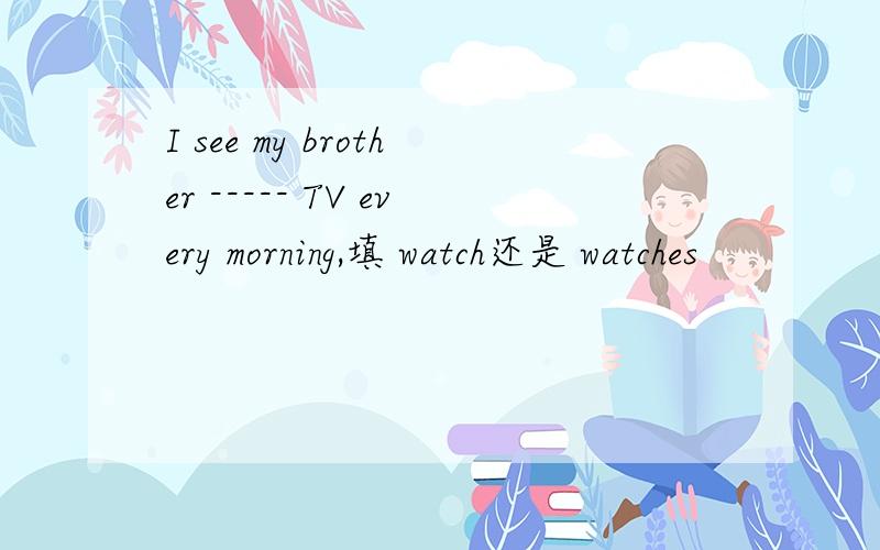I see my brother ----- TV every morning,填 watch还是 watches