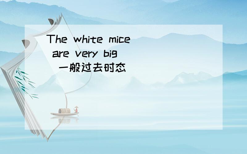 The white mice are very big （一般过去时态）