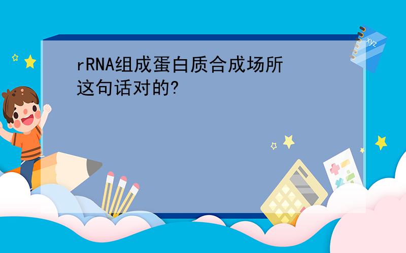 rRNA组成蛋白质合成场所 这句话对的?